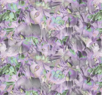 Flower Lilac Texture