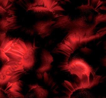 Ruby Flower Texture
