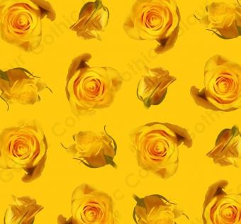 Saffron Roses