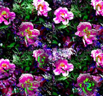 Floressence