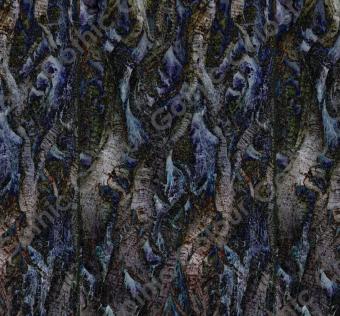 Wood Nymph Dark Dryad